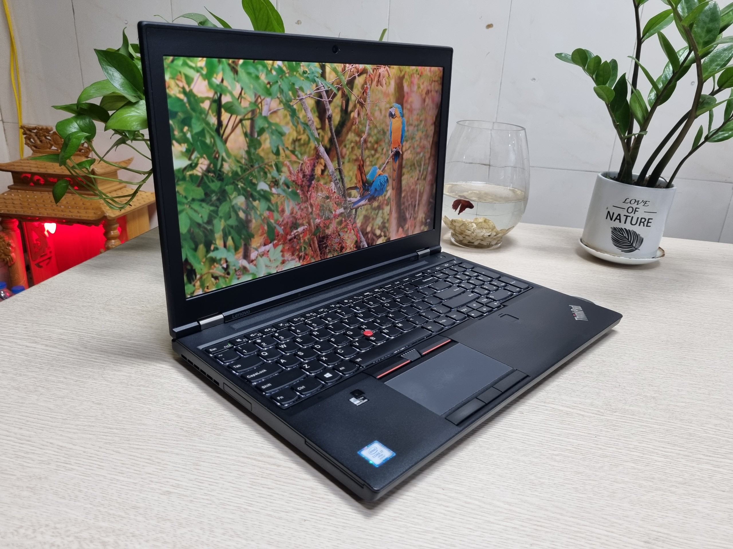 z3213874938202_5007ac663dcb11620a428d6e02230853