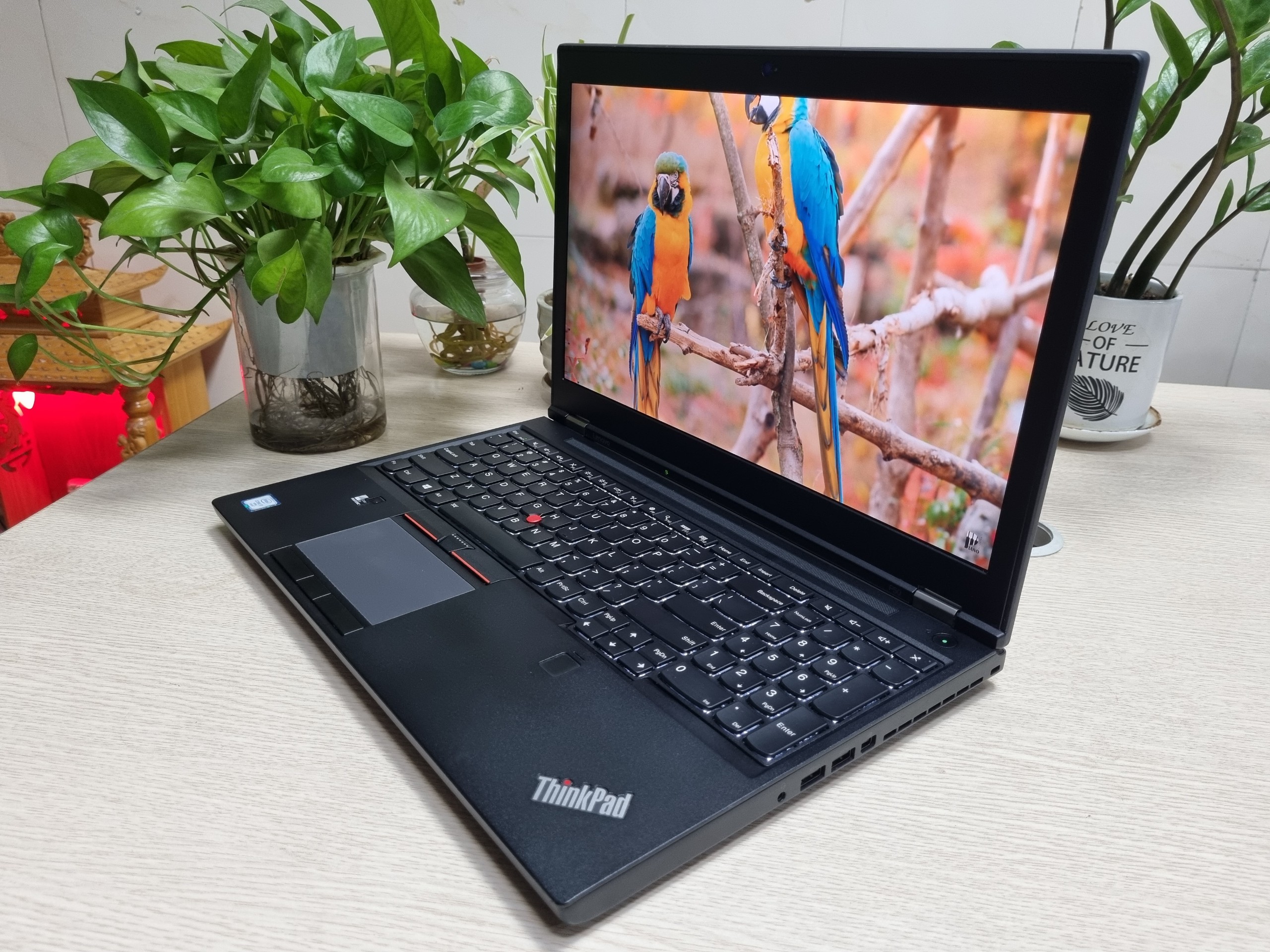 z3213874940907_1185134f9ad69c48dbc4654a86ddd6e0